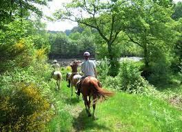 2balade cheval