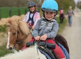 Poney